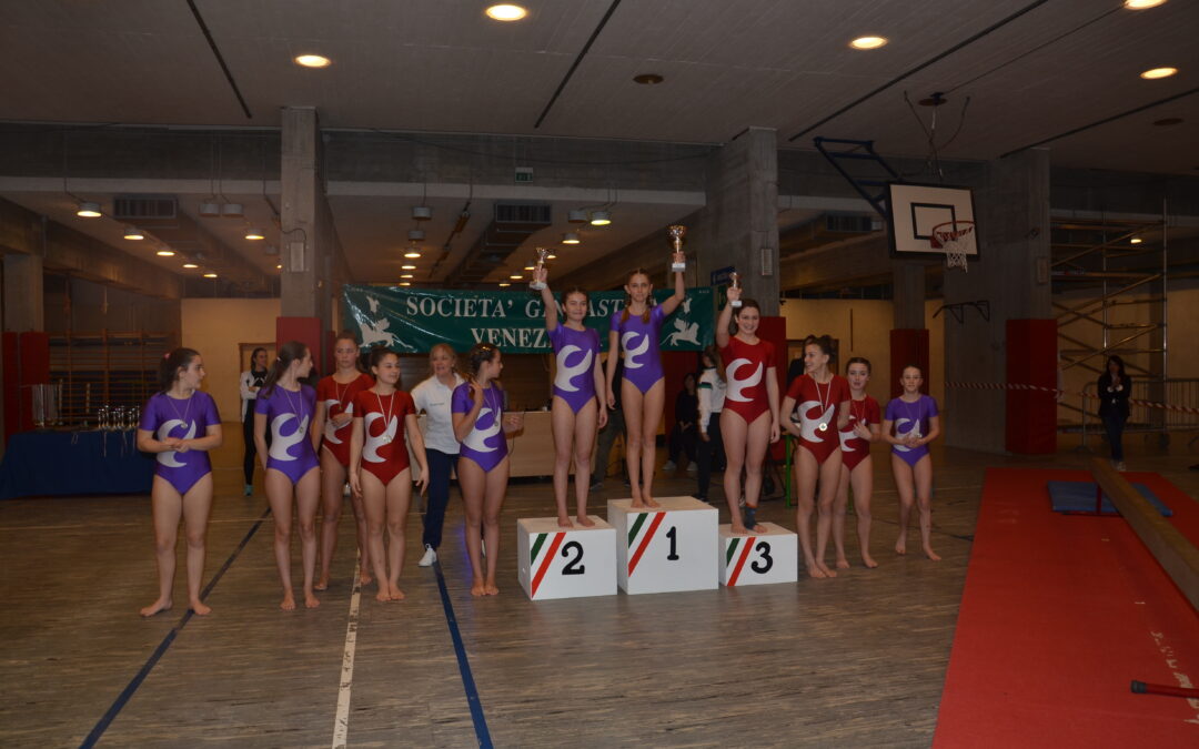 Gara sociale ginnastica artistica veneziana 2019